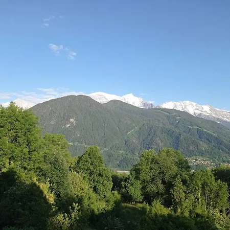 Vue Mt Blanc-grd Espace Vert-6 Pers דירה פאסי